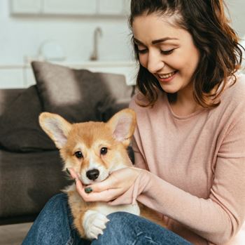 Pet friendly & on-site pet care